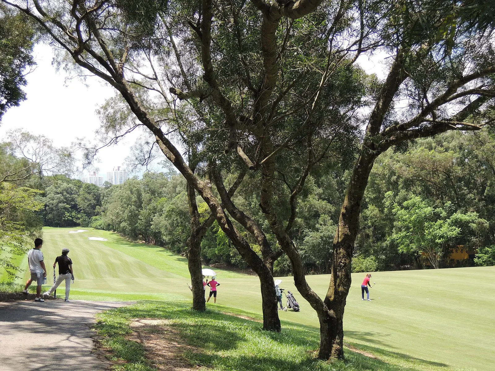 Fairway of the Old Course at the Hong Kong Golf Club in Fanling